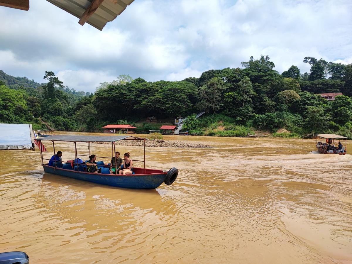 Tekoma Resort Taman Negara Kuala Tahan Bagian luar foto