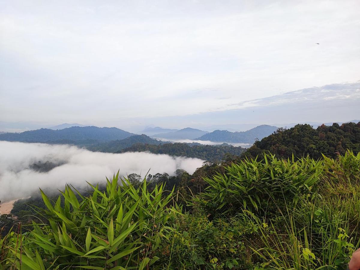 Tekoma Resort Taman Negara Kuala Tahan Bagian luar foto