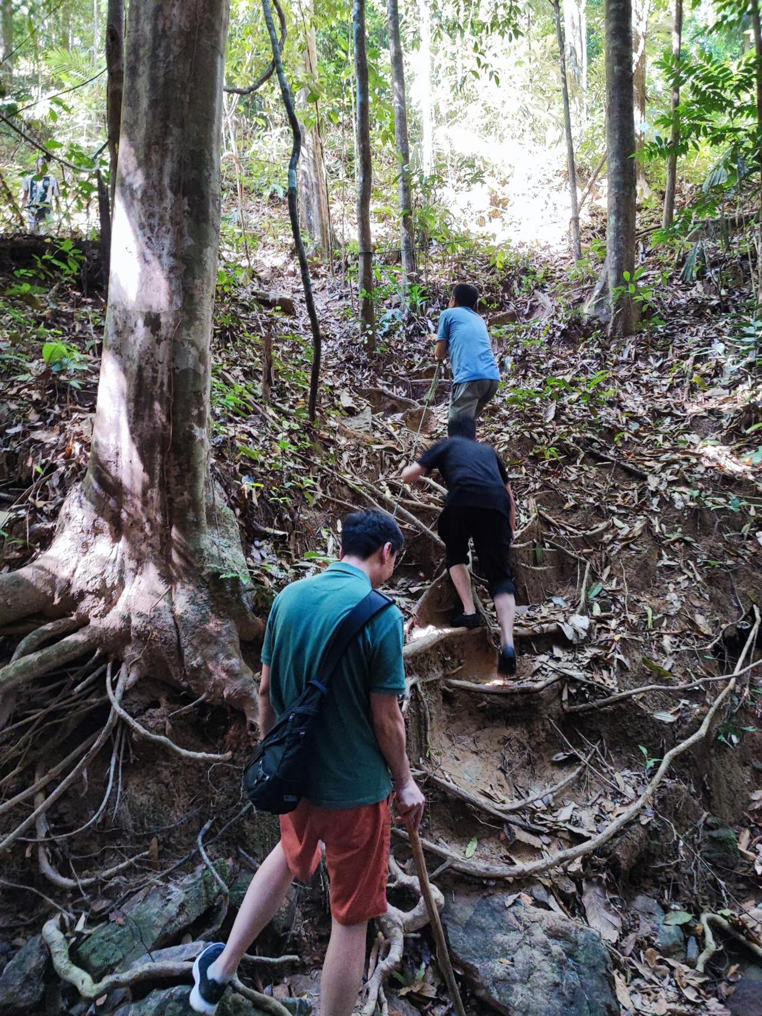 Tekoma Resort Taman Negara Kuala Tahan Bagian luar foto